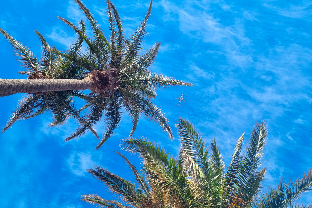 Panoramic Image of The Hammocks, FL